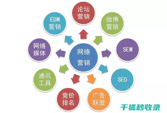 网络推广的多维度与实施步骤