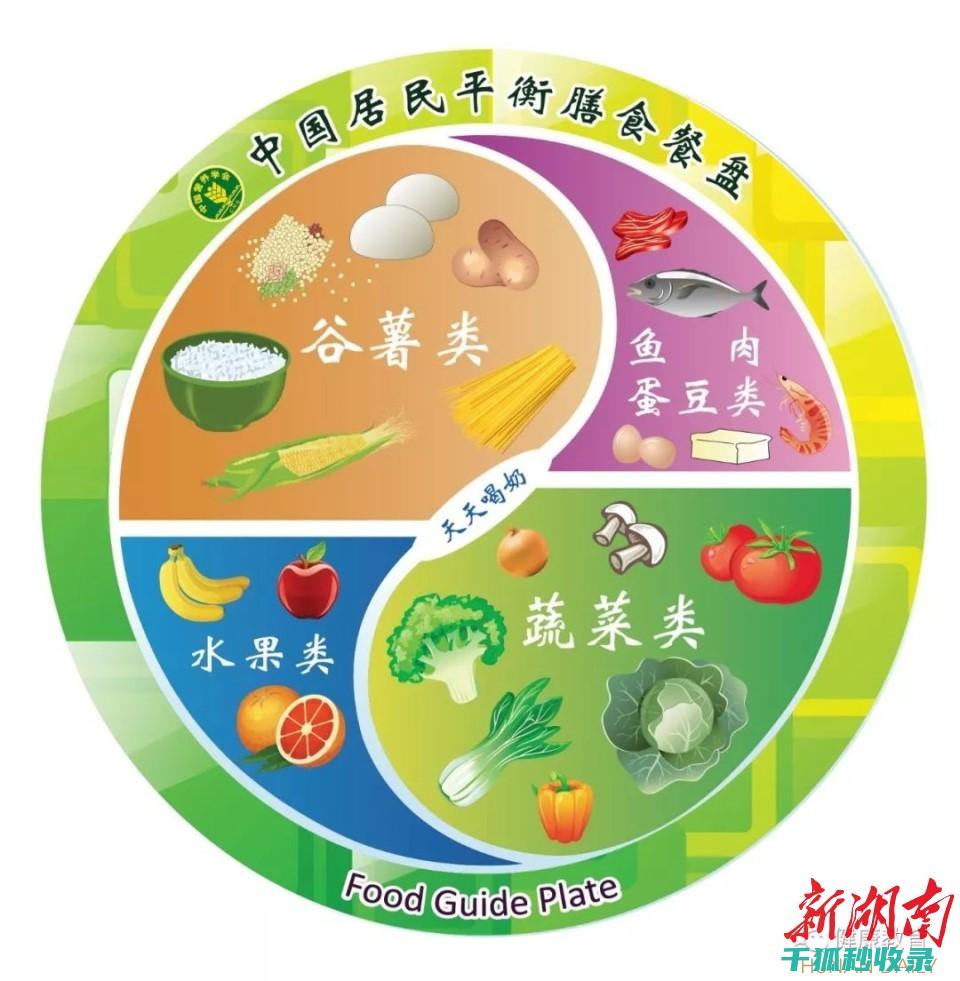 如何在WordPress中禁用自动更新功能