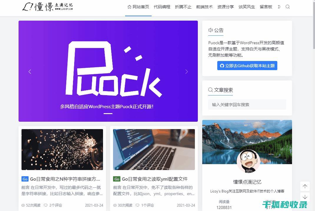 什么意思