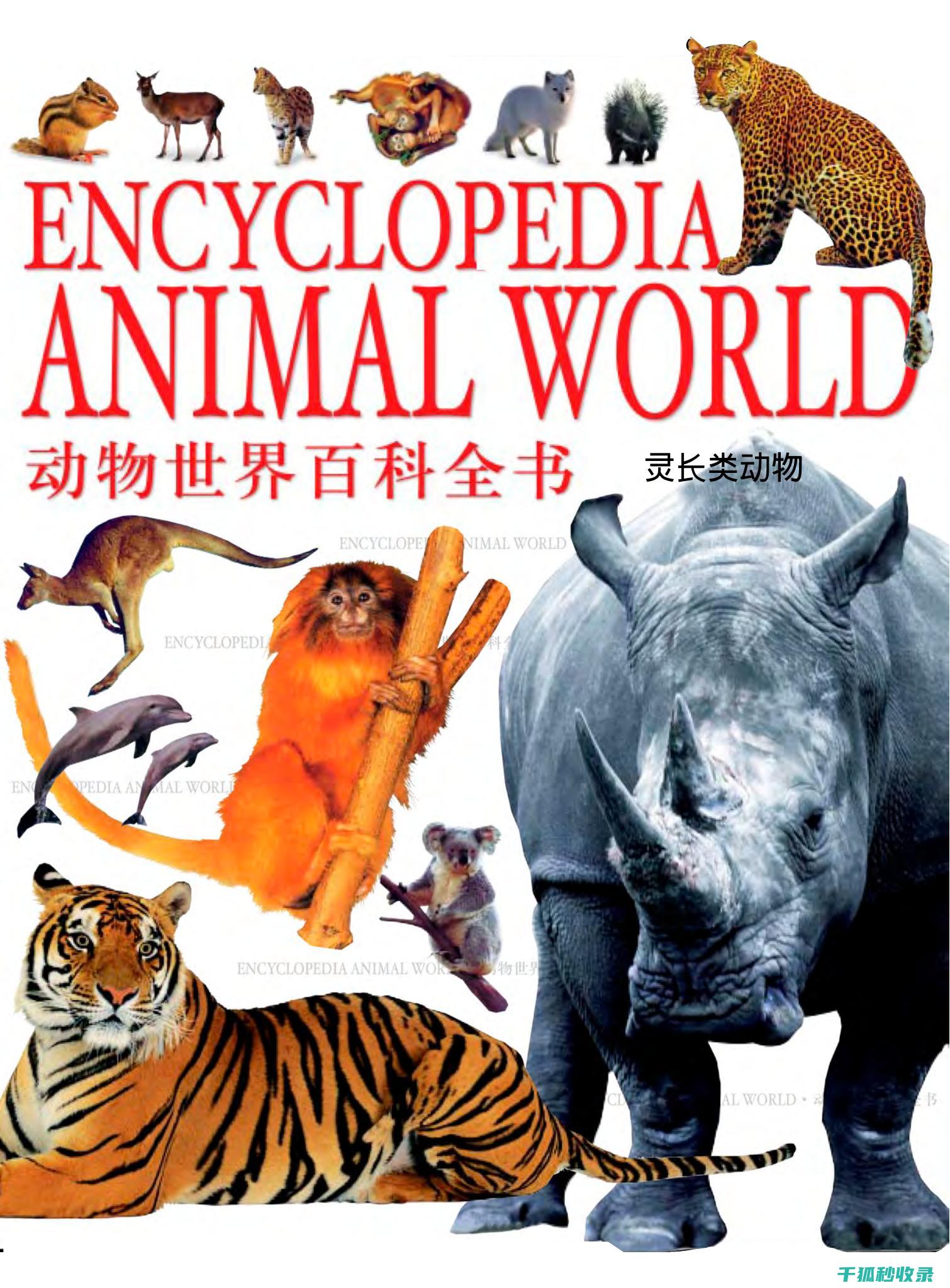 探索地球上动物的感官系统及其感知世界的方式