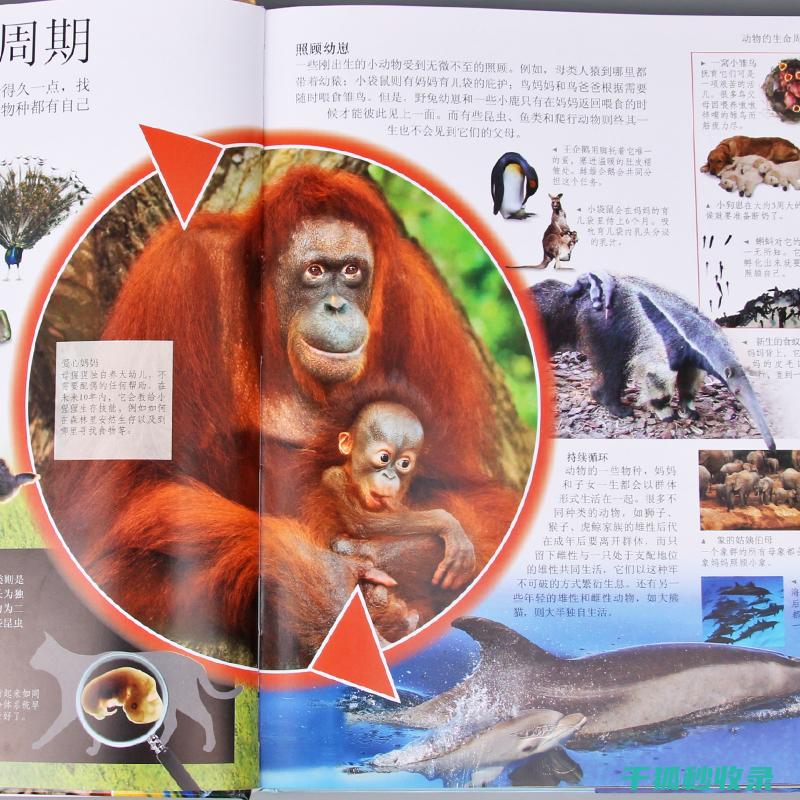 《动物百科：探索地球上动物的生存挑战及应对方法》 (动物百科全书)