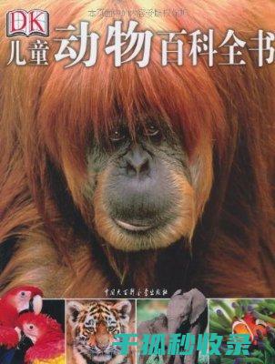 知识