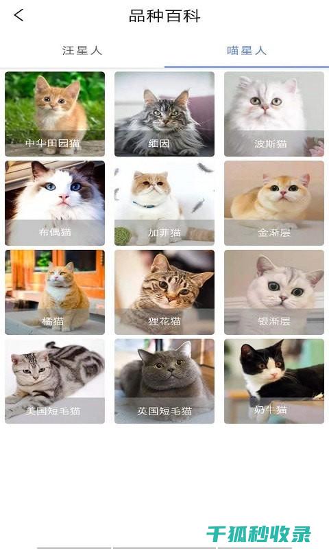 宠物生活常识