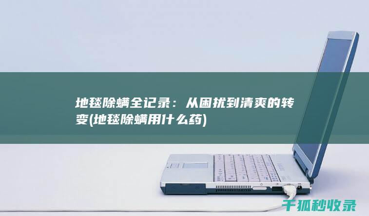 地毯除螨全记录：从困扰到清爽的转变 (地毯除螨用什么药)
