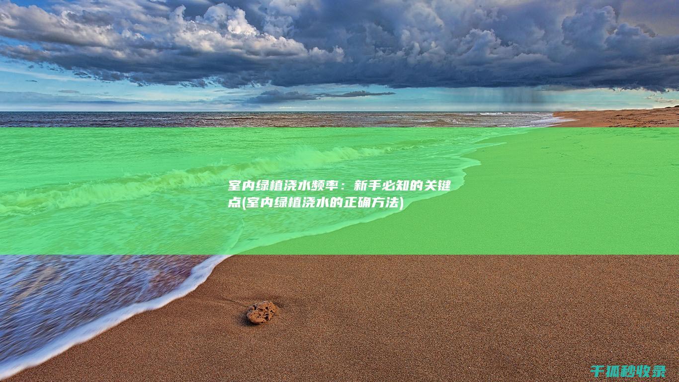 室内绿植浇水频率：新手必知的关键点 (室内绿植浇水的正确方法)