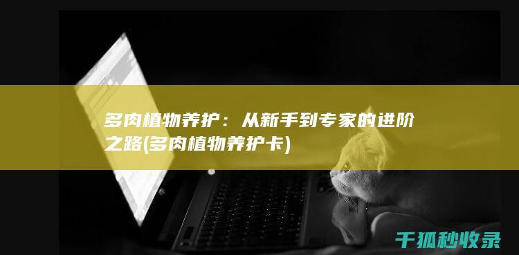 多肉植物养护：从新手到专家的进阶之路 (多肉植物养护卡)