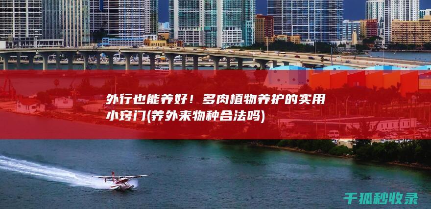 外行也能养好！的实用小窍门