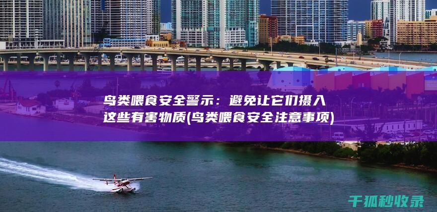 鸟类喂食安全警示：避免让它们摄入这些有害物质 (鸟类喂食安全注意事项)
