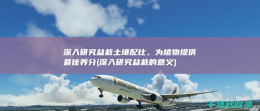 深入研究盆栽的意义