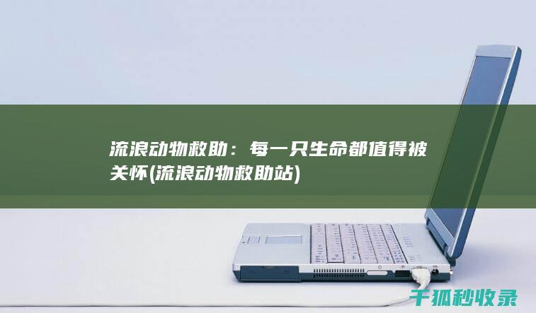 流浪动物救助：每一只生命都值得被关怀 (流浪动物救助站)
