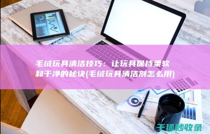 毛绒玩具清洁技巧：让玩具保持柔软和干净的秘诀 (毛绒玩具清洁剂怎么用)