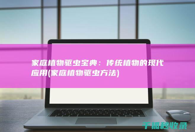 传统的现代应用