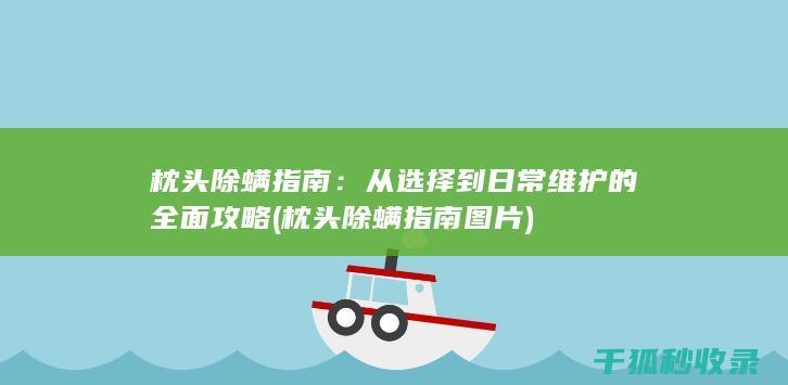 枕头除螨指南：从选择到日常维护的全面攻略 (枕头除螨指南图片)