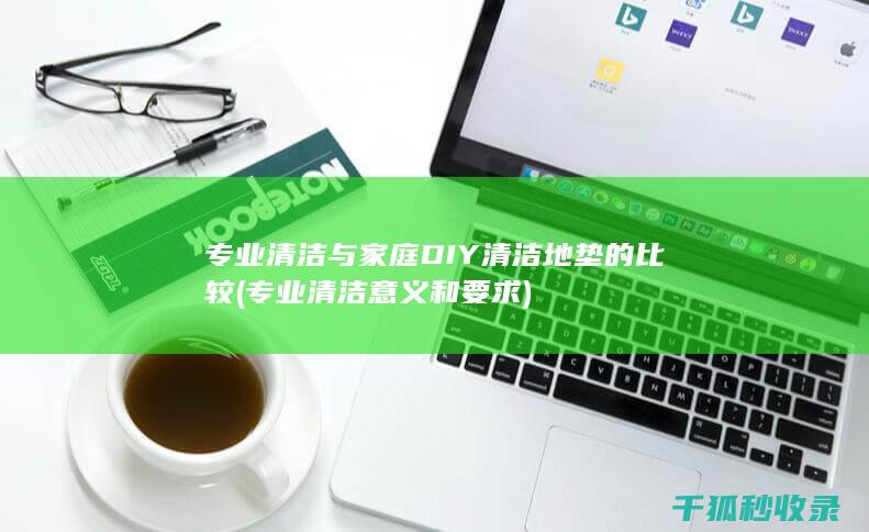 专业清洁与家庭DIY清洁地垫的比较 (专业清洁意义和要求)