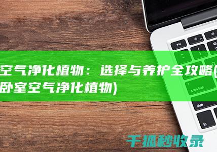 卧室净化