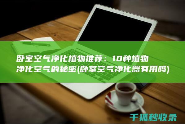 卧室空气净化植物推荐：10种植物净化空气的秘密 (卧室空气净化器有用吗)