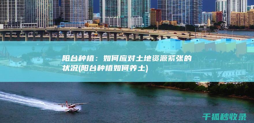 阳台种植：如何应对土地资源紧张的状况 (阳台种植如何养土)