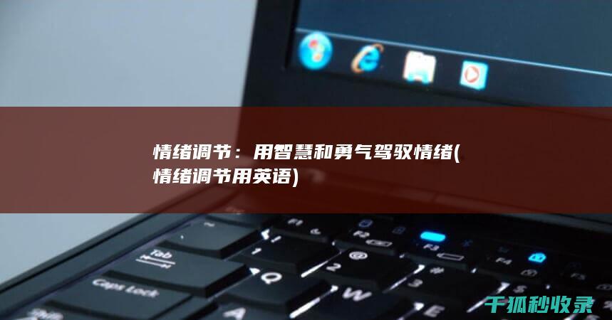 情绪调节：用智慧和勇气驾驭情绪 (情绪调节用英语)