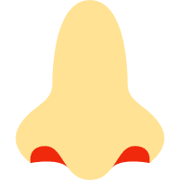 大鼻史