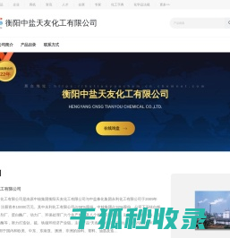 衡阳中盐天友化工有限公司