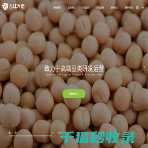 豌豆蛋白粉