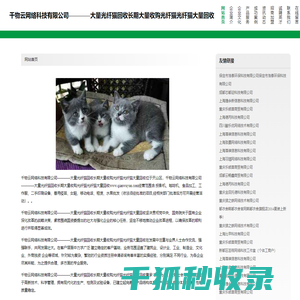 千物云网络科技有限公司