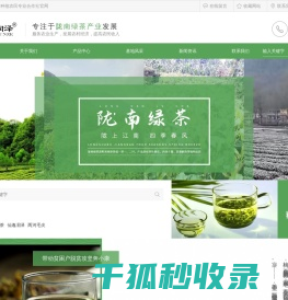 茶叶种植