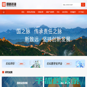 国新咨询