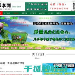 桃形李网
