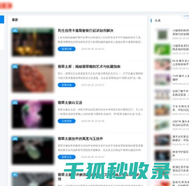 波罗行业