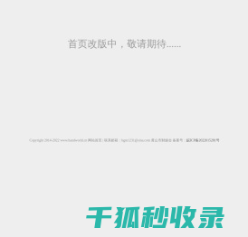 环球快报网