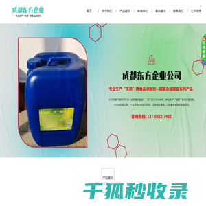 成都东方企业公司