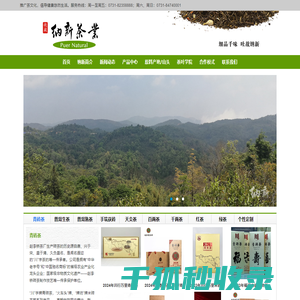 纳新茶业