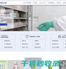 基因敲除细胞株/病毒/载体/细胞系